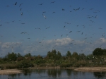 Naturpark La Albufera